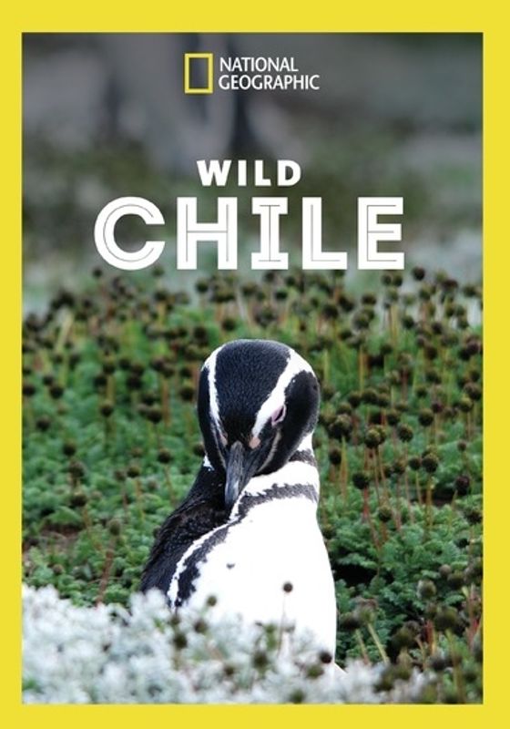 Wild Chile (2018)
