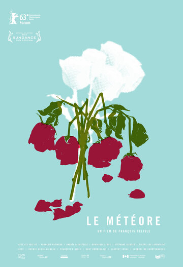 Метеор (2013)